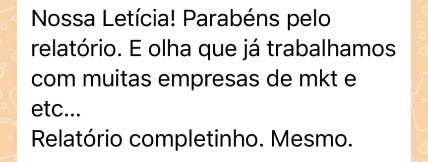 Cliente elogiando a completude do relatório mensal